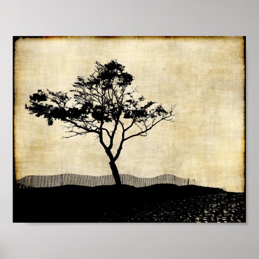 Affiche d'art photo de silhouette d'arbre (Devant)