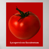 affiche d'art tomate