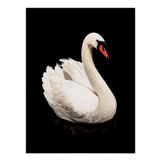 Affiche d'art vintage Cygne Blanc (Devant)