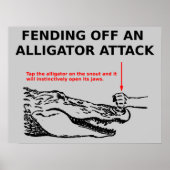 Affiche d'attaque d'alligator (Devant)