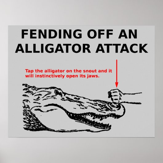 Affiche d'attaque d'alligator (Devant)