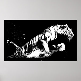 Affiche d'attaque de tigre - Tiger noir et blanc