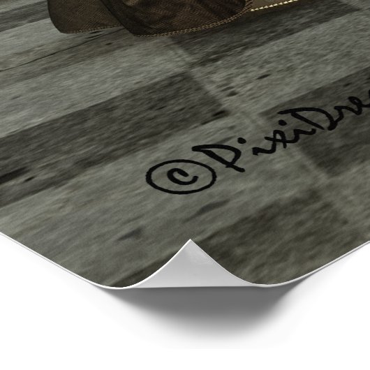 Affiche d'attractions d'Annabella (Coin)