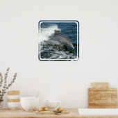 Affiche Dauphin Sauvage Imprimer (Cuisine)