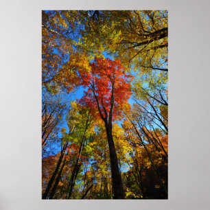 Affiche d'automne