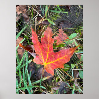 Affiche d'automne