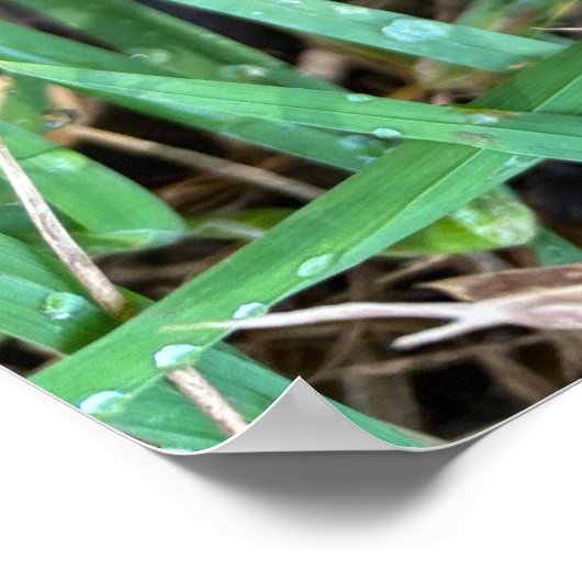 Affiche d'automne (Coin)