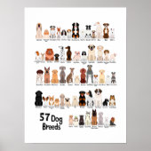 affiche de 57 races de chiens (Devant)
