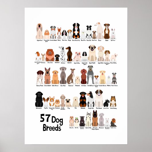 affiche de 57 races de chiens (Devant)
