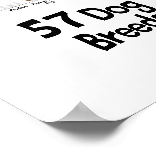 affiche de 57 races de chiens (Coin)