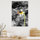 Affiche de abeille pollinisatrice (Cuisine)