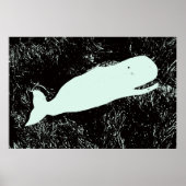 affiche de baleine blanche (Devant)