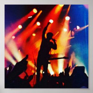 Affiche de bande - poisson-chat et les bottlemen