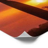 affiche de baobab (Coin)