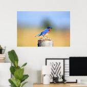 Affiche de Barn Swallow (Bureau à domicile)
