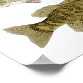 Affiche de Bass Art (Coin)