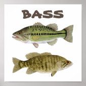 Affiche de Bass Art (Devant)