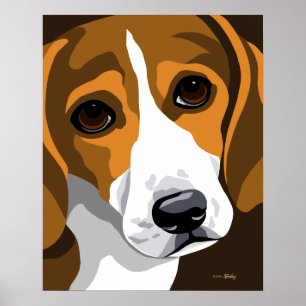 Affiche de beagle
