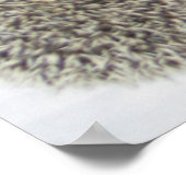 Affiche de beauté (Coin)