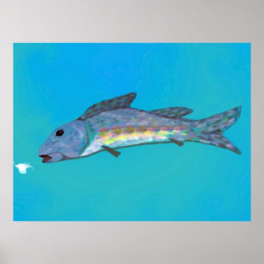 Affiche de beauté d'hiver (Devant)