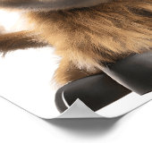 Affiche de bébé vache des Highlands mignon (Coin)