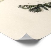 Affiche de belle impression de papillon de nature (Coin)