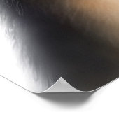 Affiche de berger australien Tricolor (Coin)