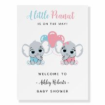 Affiche de bienvenue Baby shower rose et bleu élép