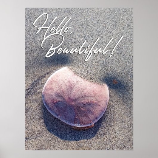 Affiche de bienvenue de dollar de sable en direct (Devant)