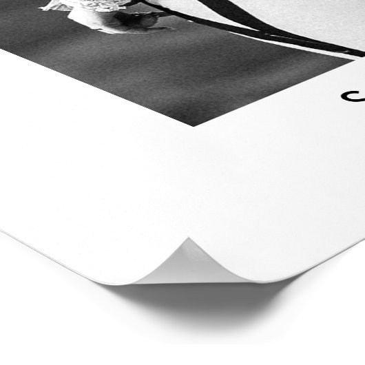 Affiche de bienvenue photo Mariage de script éléga (Coin)