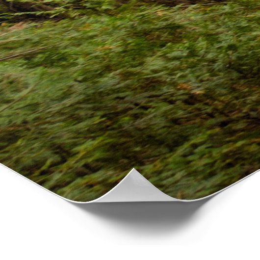 Affiche de bienvenue Rustic Forest Mariage (Coin)