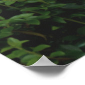 Affiche de bureau du thérapeute de la parole (SLP) (Coin)