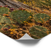 Affiche de Buse de Harris sous une tempête texane (Coin)