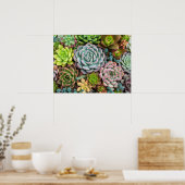 Affiche de cactus succulents (Cuisine)