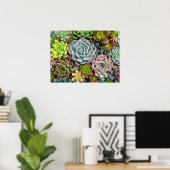 Affiche de cactus succulents (Bureau à domicile)