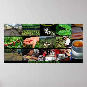 Affiche de café