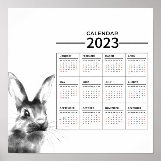 Affiche de calendrier de l'année du lapin à l'aqua (Devant)