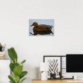 Affiche de canard colvert (Bureau à domicile)