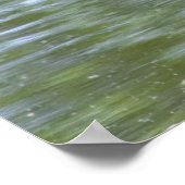Affiche de canard colvert (Coin)