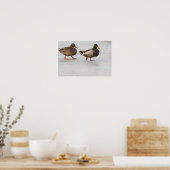 Affiche de canards colverts sur glace (Cuisine)