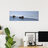 Affiche de canards Harle couronné (Bureau à domicile)