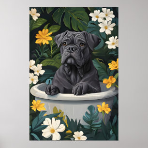 Affiche de Cane Corso dans une baignoire, affiche 
