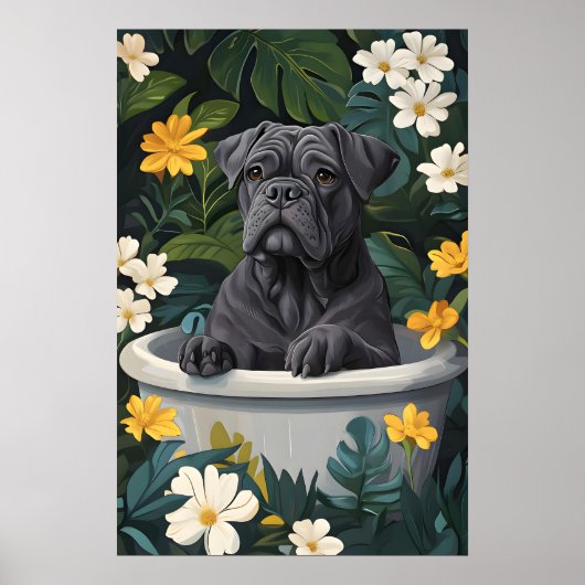 Affiche de Cane Corso dans une baignoire, affiche  (Devant)