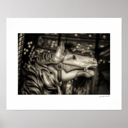 Affiche de carrousel de la foire du comté de Sepia (Devant)