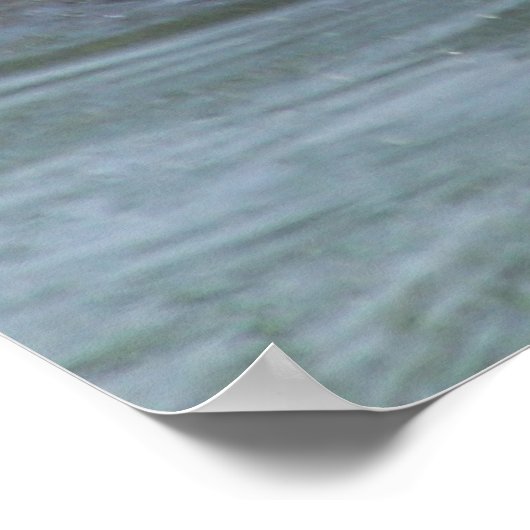 Affiche de castor (Coin)