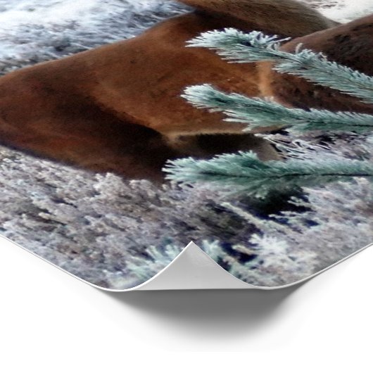 affiche de cerfs curieux (Coin)