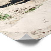 Affiche de chameau (Coin)