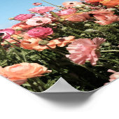 Affiche de champ de fleurs colorées (Coin)