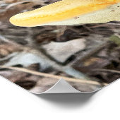 Affiche de champignon d'arbre (Coin)