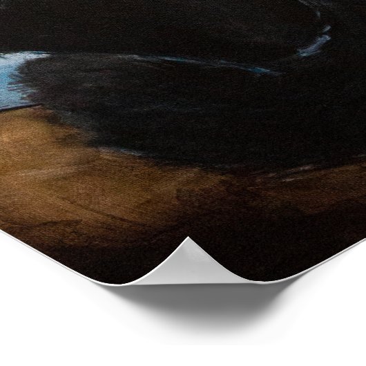 Affiche de chat (Coin)